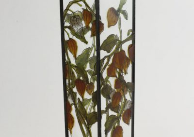 Physalis _ 